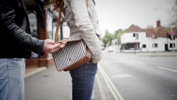 Borsa donna rubata da furbo borseggiatore — Video Stock