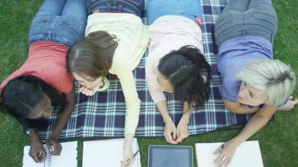 Grupo de estudiantes trabajando al aire libre — Vídeos de Stock