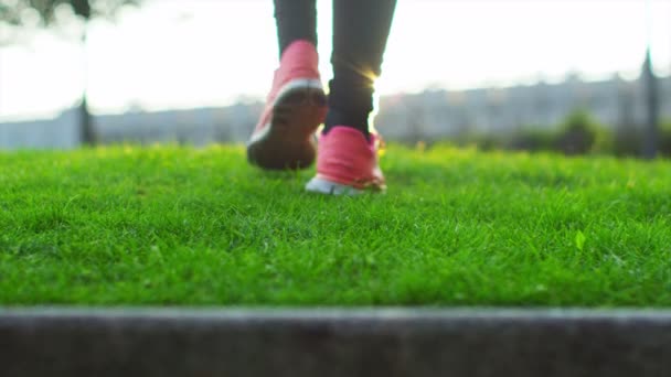 Voeten van atleet lopen door de natuurlijke omgeving — Stockvideo