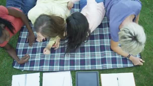 Grupo de estudiantes trabajando al aire libre — Vídeos de Stock