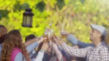 arkadaşlar gözlük kadeh kaldırmak için Kaldır