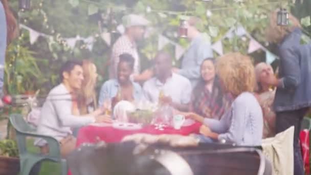 Vrienden verhogen glazen voor een toast — Stockvideo