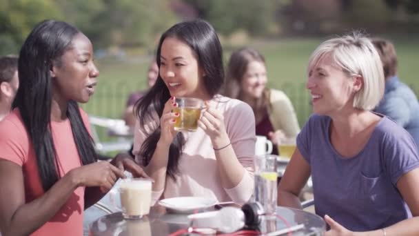 Friends chatting over drinks at cafe — Stock Video