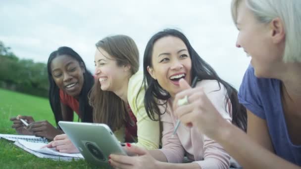 Grupo de estudiantes trabajando al aire libre — Vídeos de Stock