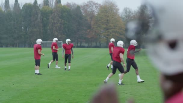 American Football-Spieler auf dem Feld — Stockvideo