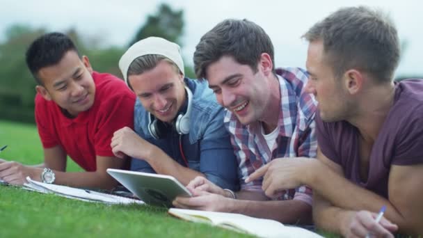 Grupo de estudiantes trabajando al aire libre — Vídeo de stock