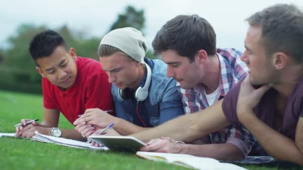 Grupo de estudiantes trabajando al aire libre — Vídeos de Stock