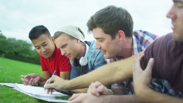 Grupo de estudantes trabalhando ao ar livre — Vídeo de Stock