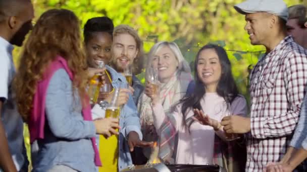 Vrienden verhogen glazen voor een toast — Stockvideo