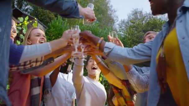 Amigos levantan vasos para un brindis — Vídeos de Stock