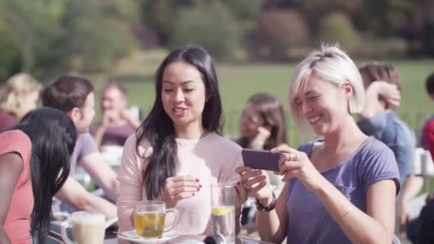 Amigos posar para tirar própria foto — Vídeo de Stock