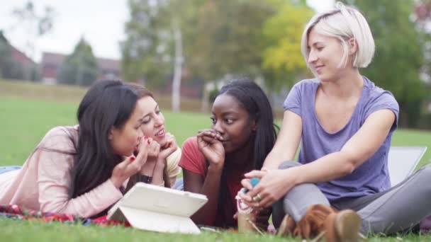 Groupe chrétien relaxant dans le parc — Video