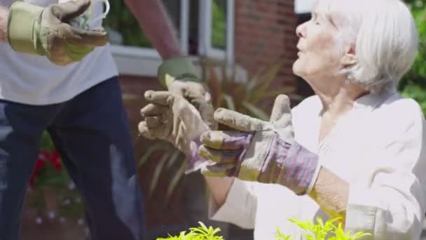 Mąż przynosi jego żona drinka — Wideo stockowe