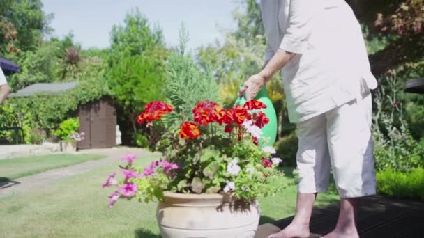 Pareja mayor regando las flores — Vídeos de Stock