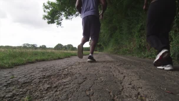 Mann und Frau joggen im Park — Stockvideo