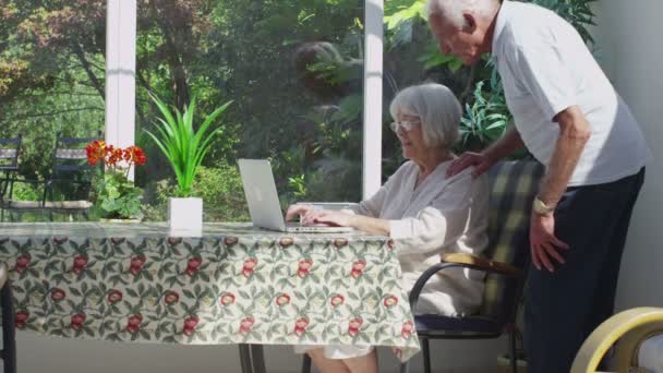 Couple relaxing with laptop — Stock Video