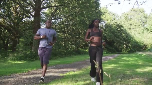 Mann und Frau joggen im Park — Stockvideo