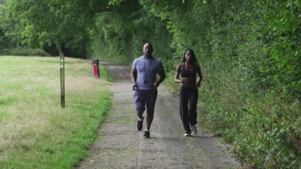 Чоловік і жінка бігають у парку — стокове відео