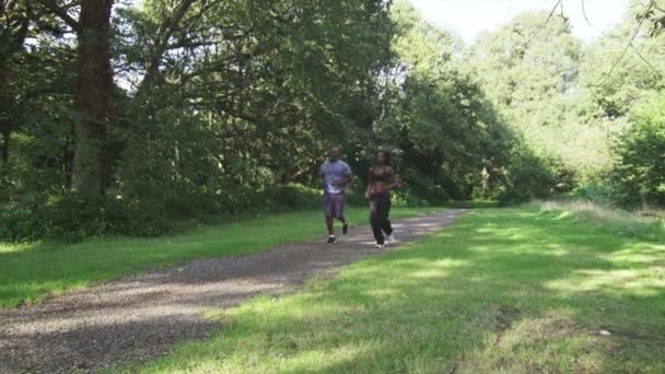 Uomo e donna che fanno jogging nel parco — Video Stock