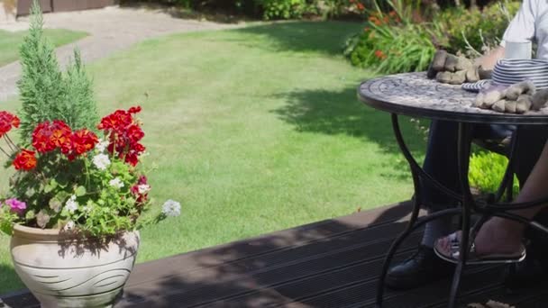 Senioren paar ontspannen in de tuin — Stockvideo