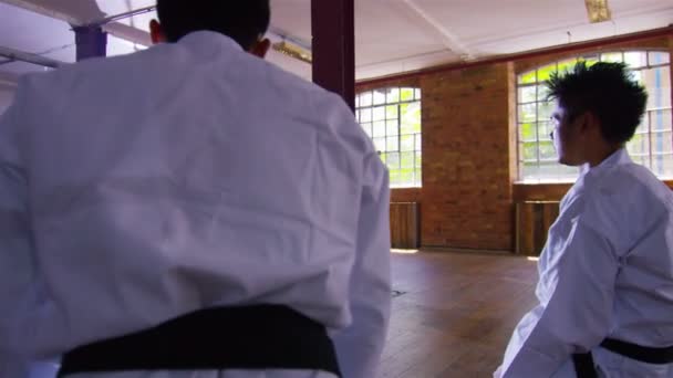 Pratiche insegnante di arti marziali con nunchaku — Video Stock