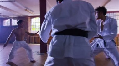 Dövüş sanatları savaşçı nunchaku kullanır