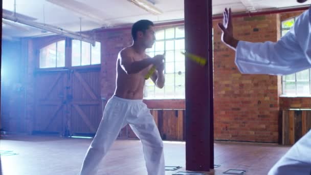 Lutador de artes marciais usa nunchaku — Vídeo de Stock
