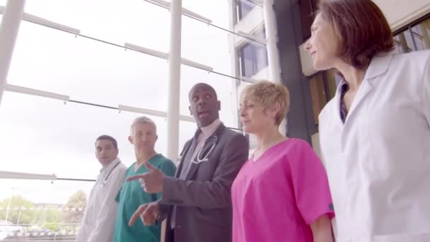 Medicinsk personal pratar tillsammans — Stockvideo