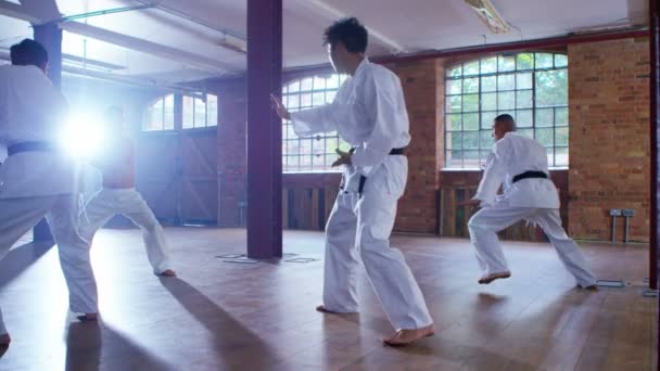 Боєць бойових мистецтв використовує черничаку — стокове відео