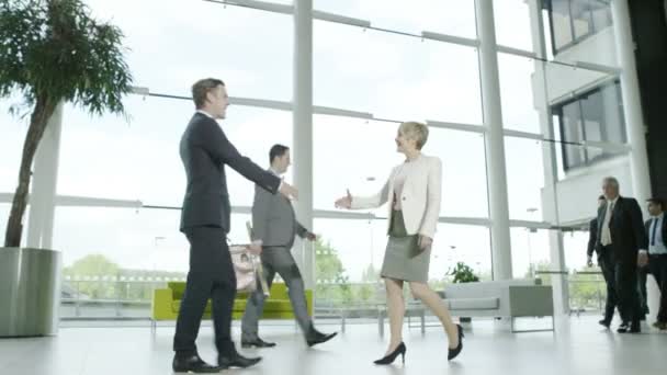 Affärsman och affärskvinna skaka hand — Stockvideo