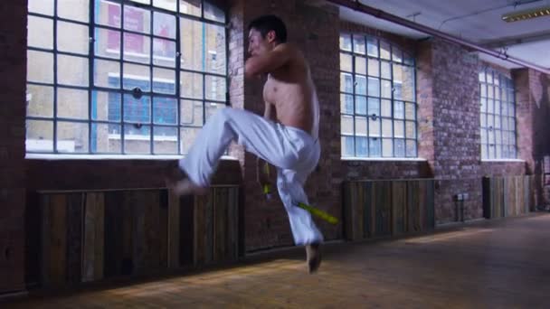 Asijských bojových umění, školení — Stock video