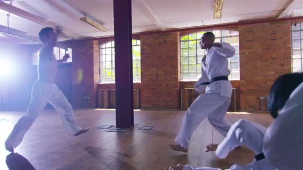 Luchador de artes marciales utiliza nunchaku — Vídeo de stock