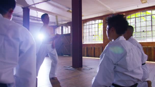 Pratiche insegnante di arti marziali con nunchaku — Video Stock