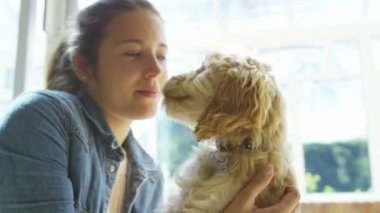 Evde rahatlatıcı köpekle kadın