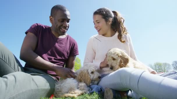 Pareja relajándose en el parque con cachorros — Vídeos de Stock