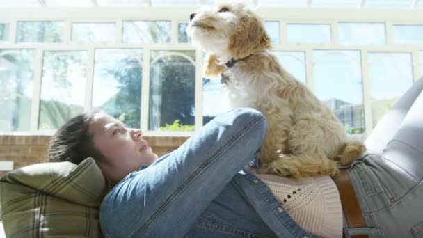 Mujer relajante en casa con cachorro — Vídeo de stock