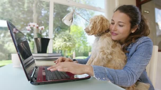 Kvinna som arbetar på laptop med valp — Stockvideo