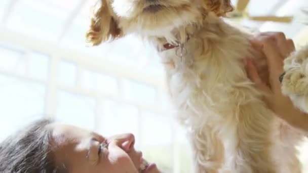 Femme relaxante à la maison avec des chiots — Video