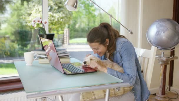 Mulher trabalhando no laptop com cachorro — Vídeo de Stock