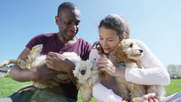 Пара отдыха в парке с щенками — стоковое видео