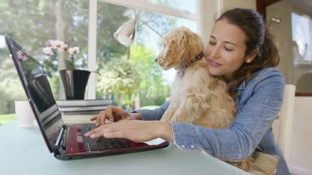 Kvinna som arbetar på laptop med valp — Stockvideo