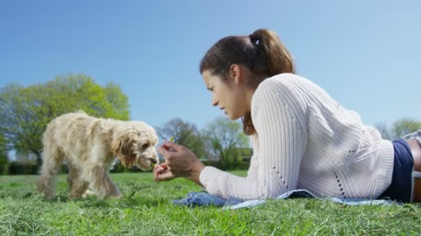 Mujer dando golosinas a los cachorros — Vídeos de Stock