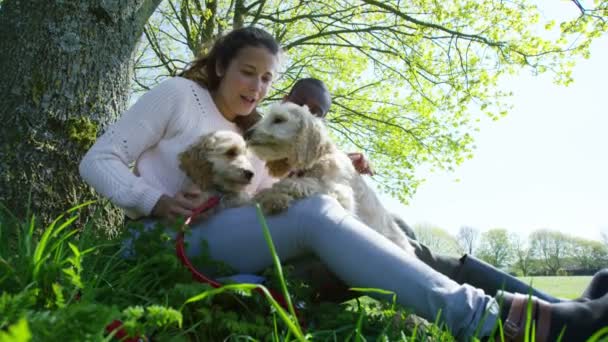 Par avkopplande i parken med valpar — Stockvideo