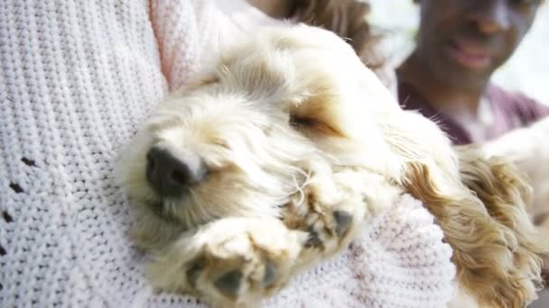 Couple relaxant dans le parc avec des chiots — Video