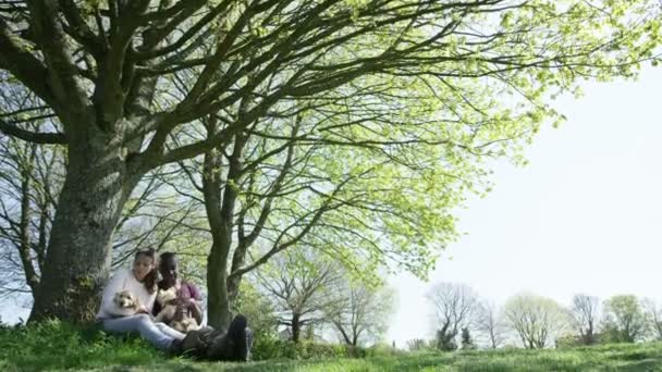 Пара розслабляється в парку з цуценятами — стокове відео