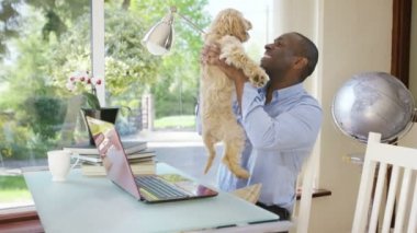 Köpek yavrusu ile dizüstü bilgisayar üzerinde çalışan adam