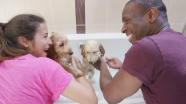 Çift veren bir banyo evcil hayvan