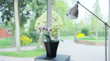 ofis çalışma alanı dizüstü bilgisayar ile