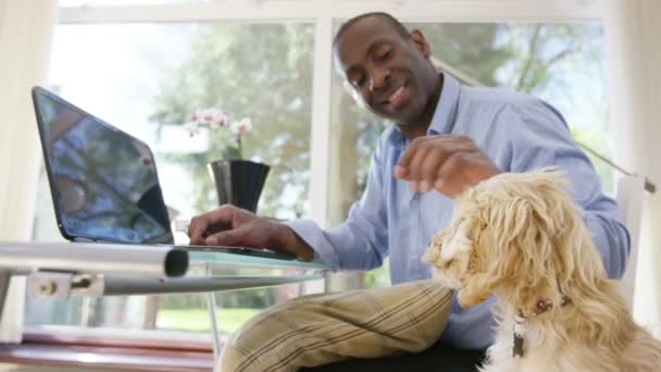 Köpek yavrusu ile dizüstü bilgisayar üzerinde çalışan adam — Stok video