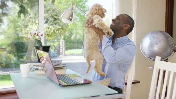 Man aan het werk op laptop met puppy — Stockvideo